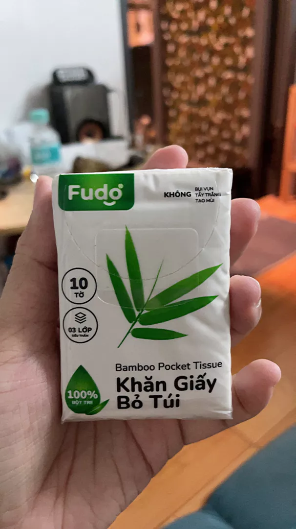 fudovietnam.com