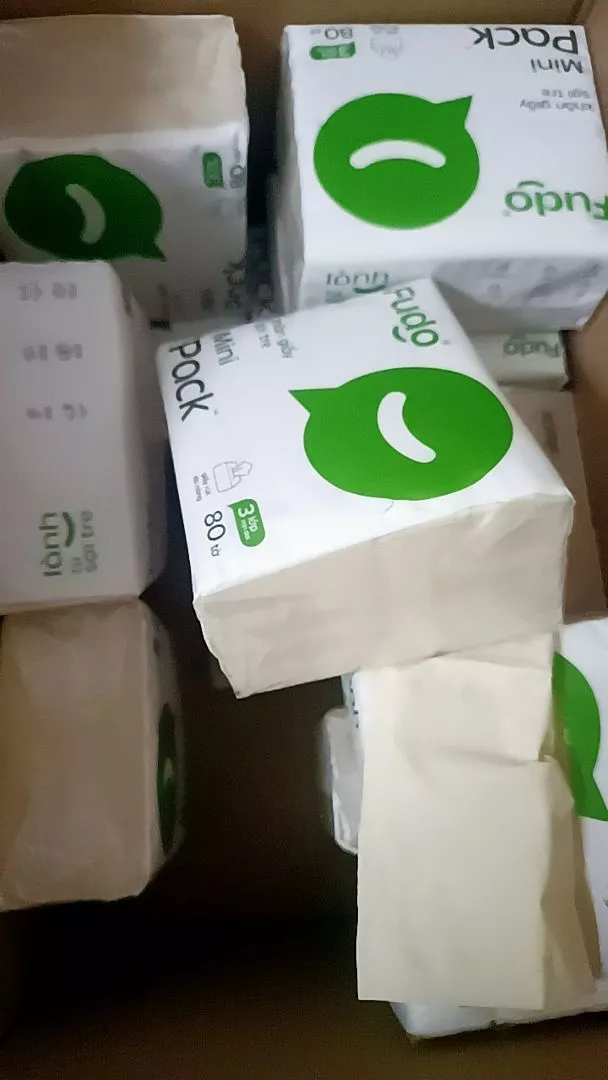 fudovietnam.com